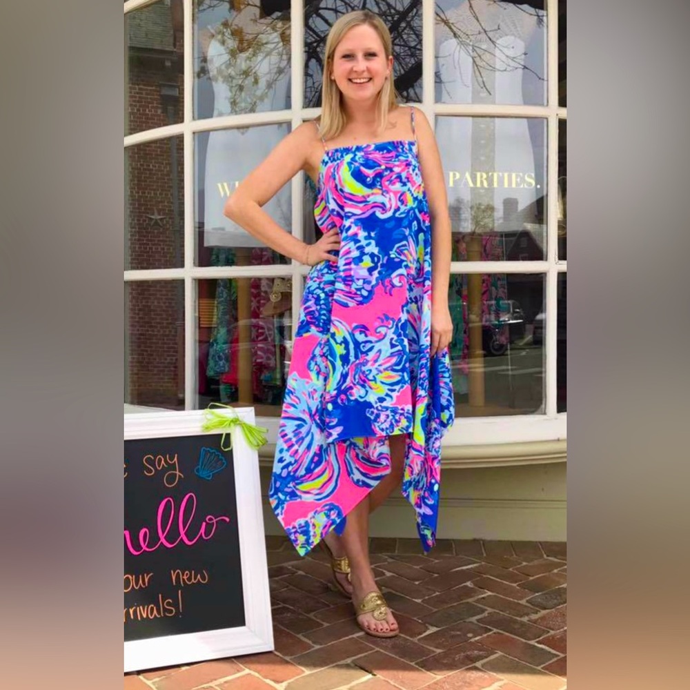 Lilly Pulitzer NWT 🦄 Kimi Silk Dress 🦄 Coastal Retreat Size XXS Holy Grail! - Picture 3 of 15
